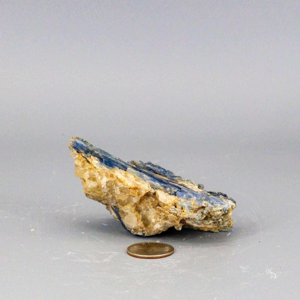 Blue Kyanite Crystal Blades in Clear Quartz Cluster