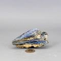 Blue Kyanite Crystal Blades in Clear Quartz Cluster